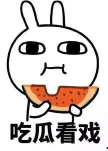 娱乐吃瓜酱脑,揭秘娱乐圈背后的秘密与八卦